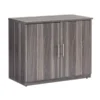 Safco Medina Storage Cabinet, MSCLGS