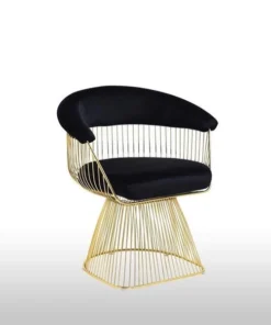 Best Master Furniture GH03-Black Accent Chair Gary Black Velvet With Gold Plated Frame Accent Chair