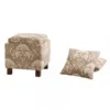 Madison Park FPF18-0178 Madison Park Shelley Square Storage Ottoman With Pillows