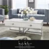 Nicole Miller NCT197-09WE-UE 47.2 x 23.5 x 15.5 in. Mano Coffee Table; White & Chrome