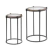 Luxen Home LuxenHome 2-Piece Nesting Metal and Glass Round Accent Table