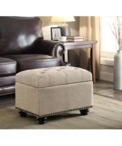 Convenience Concepts 163010FT 5th Avenue Storage Ottoman