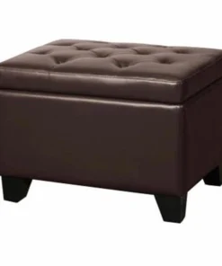 New Pacific Direct 194424B-77 Julian Rectangular Bonded Leather Storage Ottoman; Mocha