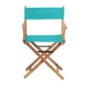Openoptics Ltd Director chair replacement cover kit Teal