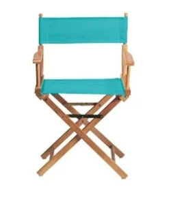 Openoptics Ltd Director chair replacement cover kit Teal