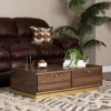 Baxton Studio Cormac Transitional Walnut Brown Finished Wood and Gold Metal 2-Drawer Coffee Table