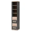 Baxton Studio Pandora Dark Grey and Light Brown Two-Tone 4-Drawer Storage Cabinet