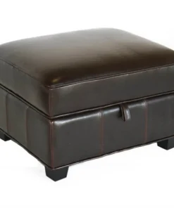 Baxton Studio Agustus Brown Leather Storage Ottoman