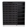 Baxton Studio Shirley Dark Brown Wood 2-Door Shoe Cabinet with Open Shelves